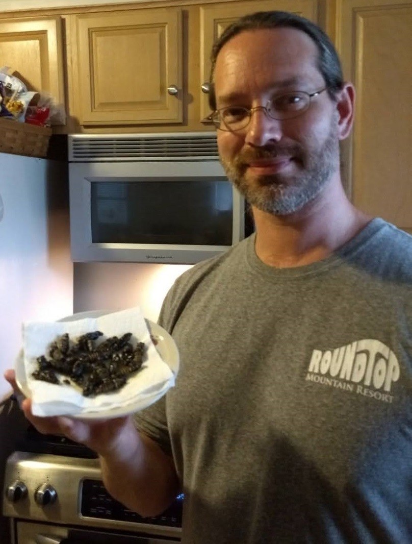 fried Magicicada snack, 2021